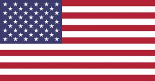 american flag-Hoffman Estates